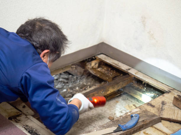 Best Crawl Space Mold Remediation in Keary, NE