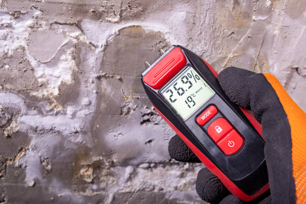 Best Bathroom Mold Remediation in Keary, NE