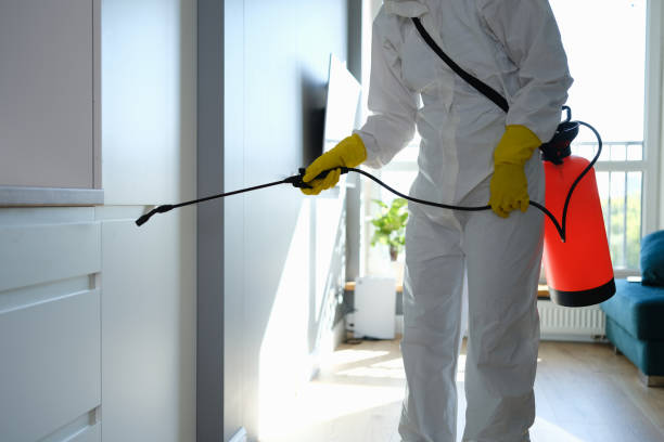 Best Residential Mold Remediation in Keary, NE